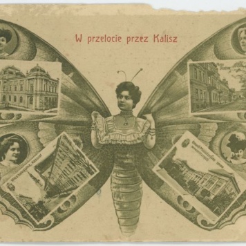 W przelocie przez Kalisz