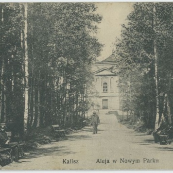 Aleja w nowym parku, Kalisz