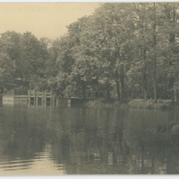 Stawidła w kaliskim parku