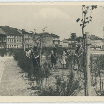 Prace przy zieleńcu na Babince w Kaliszu