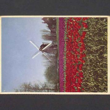 Barbarko Kochana [...]