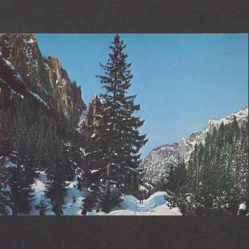 Z okazji imienin [...]