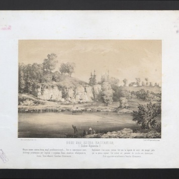 Buki nad rzeką Rastawicą