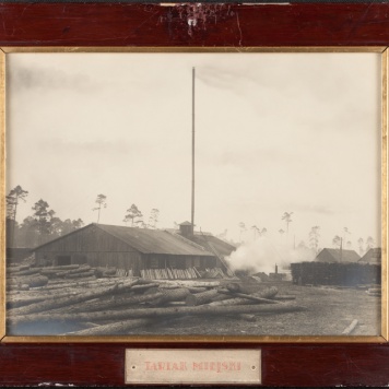 Tartak miejski w Kaliszu 