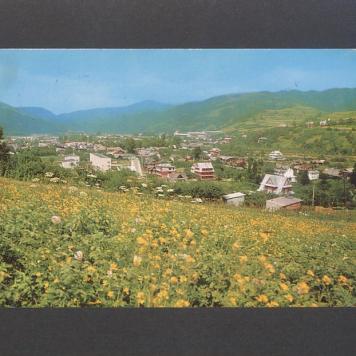 Szanowni Państwo. Przepraszam bardzo, ale nie będę mógł [...]