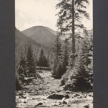 Kochani, Jesteśmy w schronisku na P. Chochołowskiej [...]