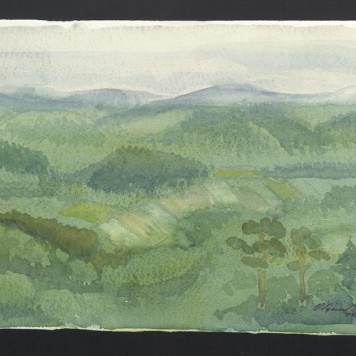 Wojciechów pejzaż II