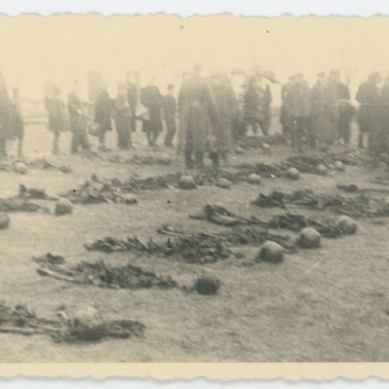 Ekshumacje zwłok pomordowanych pod Kaliszem w czasie II Wojny Światowej