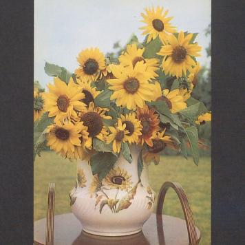 Bardzo serdeczne życzenia, drogiej Solenizantce [...]