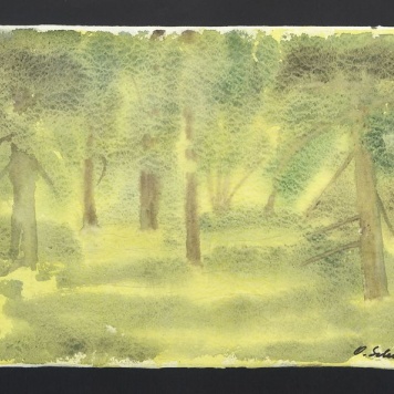 Wrocław, Park Szczytnicki VI