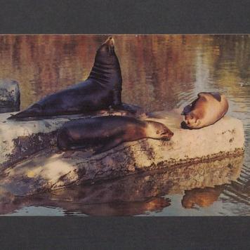 Kochani! Dwa tygodnie już siedzimy na wsi [...]