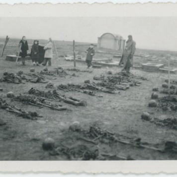 Ekshumacje zwłok pomordowanych pod Kaliszem w czasie II Wojny Światowej