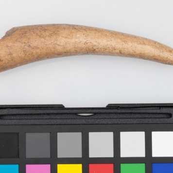 Półfabrykat z poroża