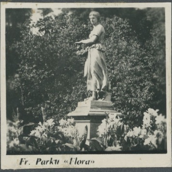 Fragment parku, Flora