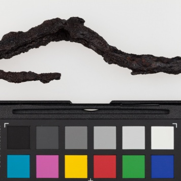 Zapinka żelazna typu Certosa