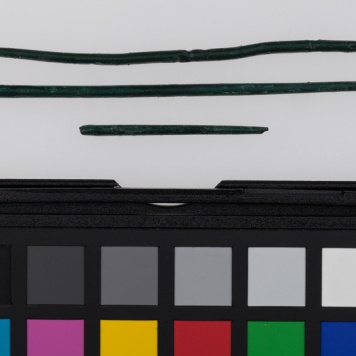 Szpila brązowa (złamana) o główce poprzecznie żebrowanej