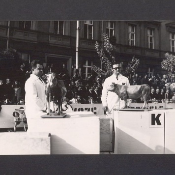 Turniej Miast Kalisz – Gniezno.