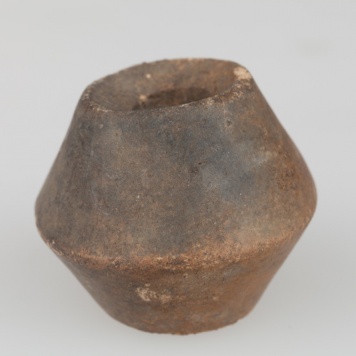 Przęślik dwustożkowaty