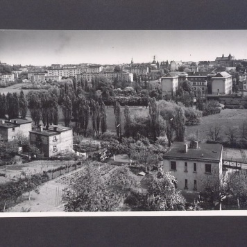Panorama miasta. Widok na północno-zachodni fragment.