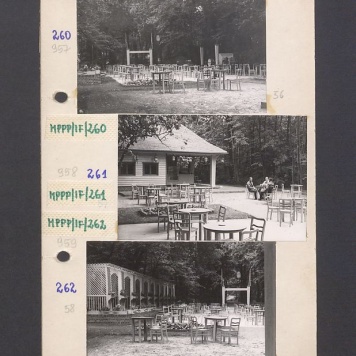 Park Miejski i kawiarnia Bractwa Kurkowego w Gnieźnie.