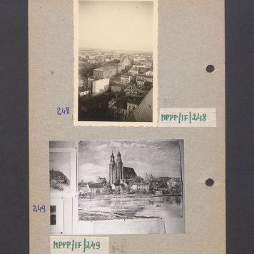 Widok z wieży katedry na ul. Franciszkańską.