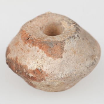 Dwustożkowaty przęślik gliniany