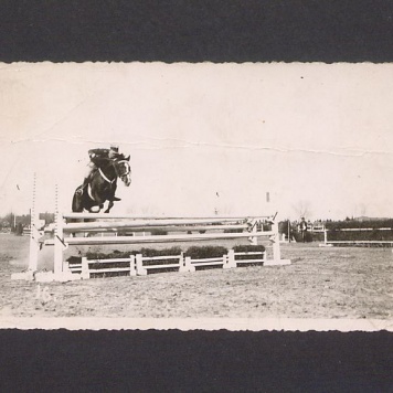 Zawody konne. Skok przez przeszkodę.