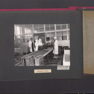 Poszczególne etapy produkcji w Wytwórni Win przy ul. Park Kościuszki 17. Obcinanie korków.