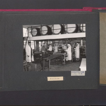 Poszczególne etapy produkcji w Wytwórni Win przy ul. Park Kościuszki 17. Rozlewnia.