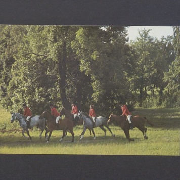 Państwowe Stado Ogierów w Gnieźnie.