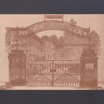 Państwowe Stado Ogierów w Gnieźnie.