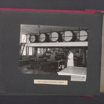 Poszczególne etapy produkcji w Wytwórni Win przy ul. Park Kościuszki 17. Widok ogólny stanowiska rozlewu.