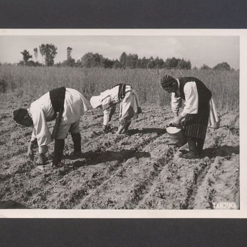 Tadeusz Kulisiewicz, fotografia
