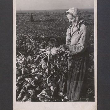 Tadeusz Kulisiewicz, fotografia