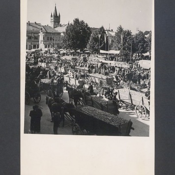 Tadeusz Kulisiewicz, fotografia