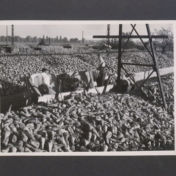 Tadeusz Kulisiewicz, fotografia