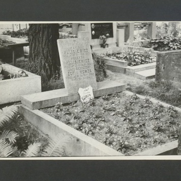 Tadeusz Kulisiewicz, fotografia