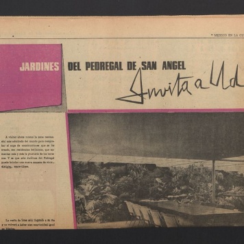 Jardines del pedregal de San Angel