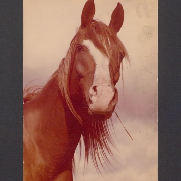 Najlepsze życzenia świąteczne i noworoczne [...]