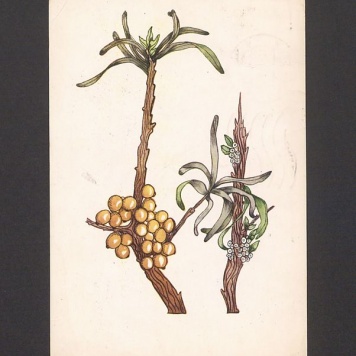 Kochani! Spotkałam wczoraj p. K. Nitę [...]