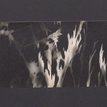 Miłym, kochanym Tadziom zdrowych spokojnych Świąt [...]