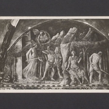 Droga Barbarko, posyłam Ci kawałek ładnego Ucella [...]