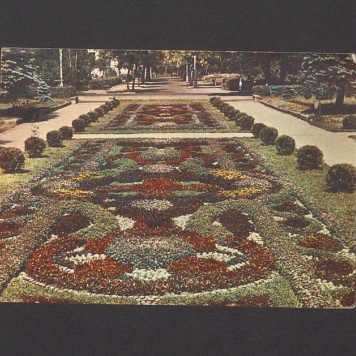 Kochani! Czuję się prawie dobrze [...]