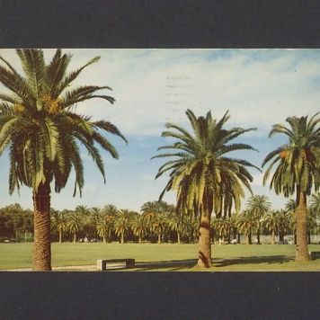 Ukłony i pozdrowienia znad Zatoki Meksykańskiej [...]