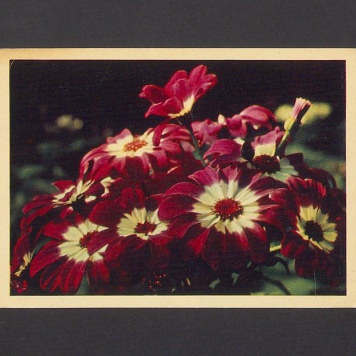 Drogi Tadeuszu! W dniu Twego Jubileuszu najserdeczniejsze życzenia [...]