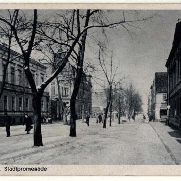 Aleje Zygmunta Krasińskiego w Lesznie