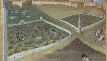 Śladami Średniowiecza II